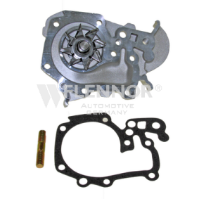 Achetez des Pompe à eau FLENNOR FWP70014 à prix pour 29,32 €