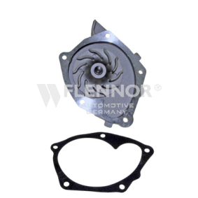 Achetez des Pompe à eau FLENNOR FWP70027 à prix pour 28,85 €