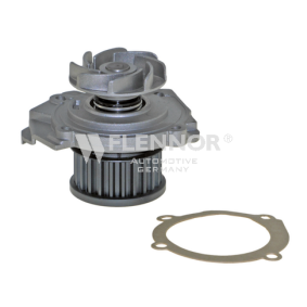 Achetez des Pompe à eau FLENNOR FWP70041 à prix pour 24,61 €