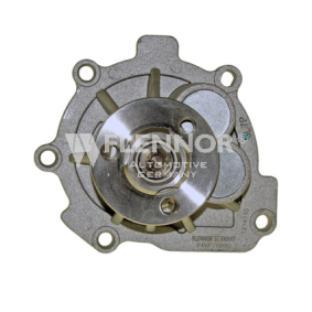 Achetez des Pompe à eau FLENNOR FWP70090 à prix pour 35,16 €