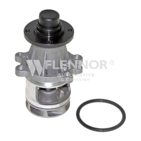 Achetez des Pompe à eau FLENNOR FWP70152 à prix pour 26,37 €