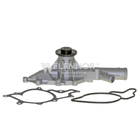Achetez des Pompe à eau FLENNOR FWP70701 à prix pour 53,98 €