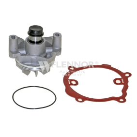 Achetez des Pompe à eau FLENNOR FWP70748 à prix pour 30,82 €