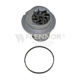 Achetez des Pompe à eau FLENNOR FWP70762 à prix pour 46,18 €