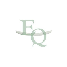 Zier- / Schutzleiste, Kühlergitter für DACIA von EQUAL QUALITY
