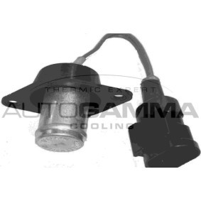 Vorwiderstand, Elektromotor-Kühlerlüfter für FIAT von AUTOGAMMA