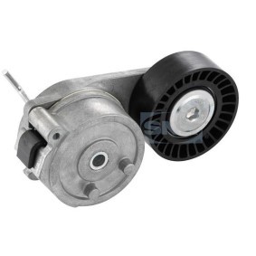 Comprar Polea tensora, correa poli V de SNR GA358.17 a bajo precio de 53,40 €