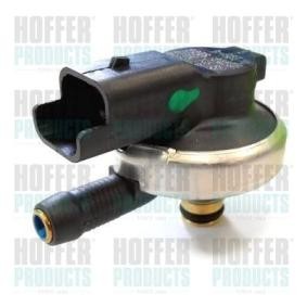 Acquista Iniettore da HOFFER H75117009 a buon mercato per soli 265,27 €