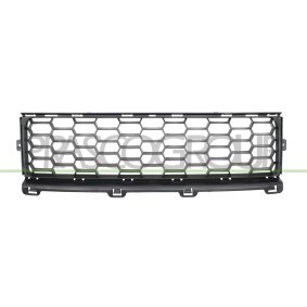 Kühlergrill IZ8102001