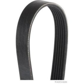 Achetez des Courroie Poly-V HERTH+BUSS JAKOPARTS J1060883 à prix pour 13,36 €
