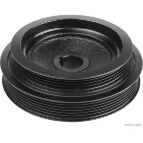 Achetez des Poulie damper (vilebrequin) HERTH+BUSS JAKOPARTS J1091012 à prix pour 57,90 €