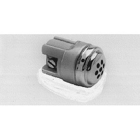 Compre Resistência reguladora de pré-aquecimento da BOSCH 0 251 002 040 a um preço baixo por 108,12 €