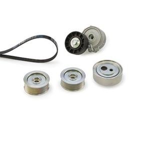 Achetez des Jeu de courroies trapézoïdales à nervures GATES K066PK1633 à prix pour 210,30 €