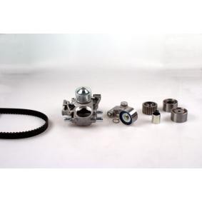 Achetez des Kit de distribution + pompe à eau GK K981509C à prix pour 356,19 €