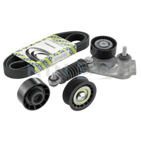 Keilrippenriemensatz von SNR für X-Type Limousine (X400) günstig online kaufen