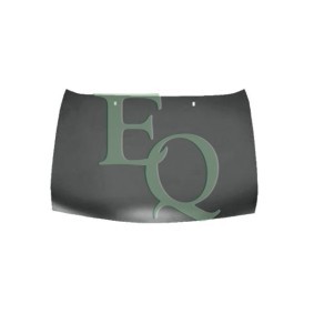 Motorhaube L01177