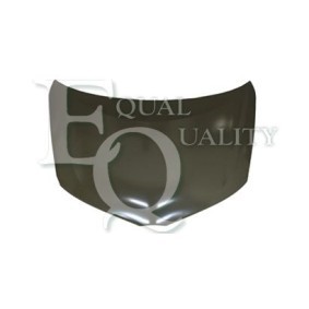 Motorhaube L02683