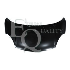 Motorhaube L02743
