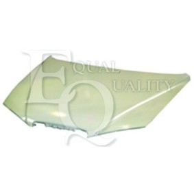Motorhaube L03093