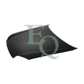 Motorhaube L03098