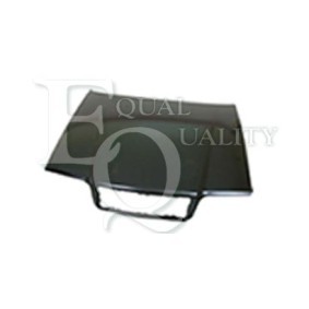 Achetez des Capot EQUAL QUALITY L03562 à prix pour 401,04 €