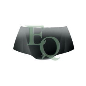 Achetez des Capot EQUAL QUALITY L04254 à prix pour 266,00 €
