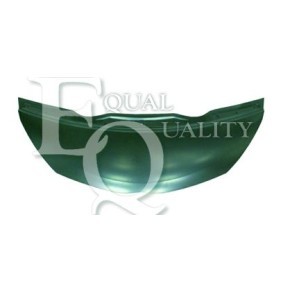 Motorhaube L05178