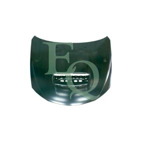 Motorhaube L05298