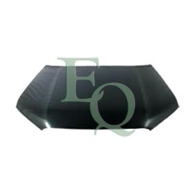 Motorhaube L05377
