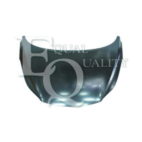Motorhaube L05890