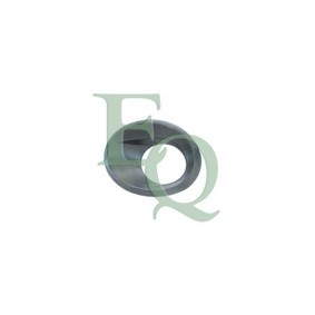 Acquista Mostrina, Paraurti da EQUAL QUALITY M0614 a buon mercato per soli 17,21 €