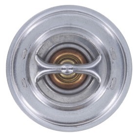 Achetez des Joint d'étanchéité, thermostat MOTORAD MG-24 à prix pour 1,20 €