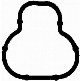 Ansaugkrümmerdichtung von BGA