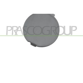 Motorhaube MZ0113100