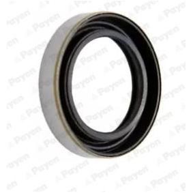 Wellendichtring, Differential NK122