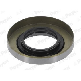 Wellendichtring, Differential NK123