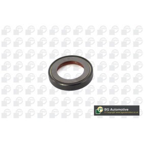 Wellendichtring, Differential von BGA OS1400