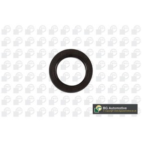 Osta Akselitiiviste, kampiakseli BGA:llä OS5318 edullisesti hintaan 5,25 €