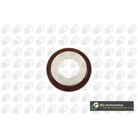 Kurbelwellensimmering für MINI von BGA