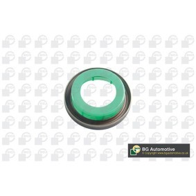 Kurbelwellensimmering für MINI von BGA