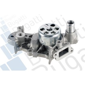 Achetez des Pompe à eau BUGATTI PA10079 à prix pour 65,14 €