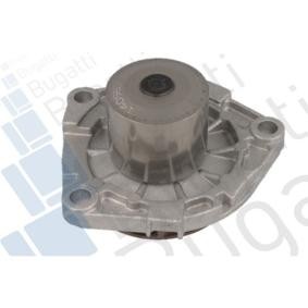 Achetez des Pompe à eau BUGATTI PA10184 à prix pour 52,09 €