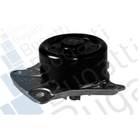 Achetez des Pompe à eau BUGATTI PA10193 à prix pour 63,36 €
