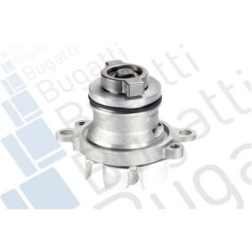 Achetez des Pompe à eau BUGATTI PA10213 à prix pour 79,26 €