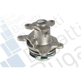 Achetez des Pompe à eau BUGATTI PA10216 à prix pour 50,76 €