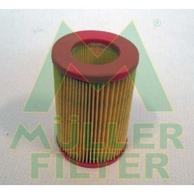 Luftfilter für SMART von MULLER FILTER
