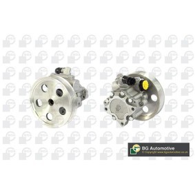Servopumpe von BGA