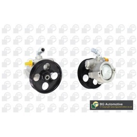 Servopumpe PSP1405