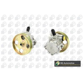 Servopumpe von BGA