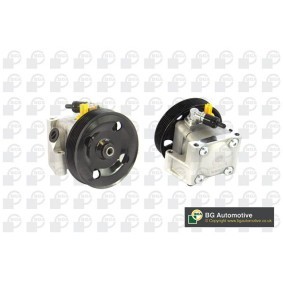 Servopumpe von BGA